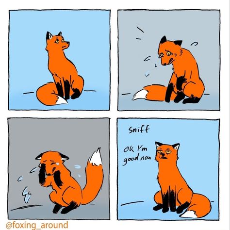 Fox Meme, Fox Memes, Funny Comic Strips, Orange Fox, Short Comics, Fox Art, Red Fox, Cute Comics, Animal Quotes