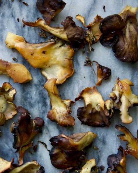 This past fall I was generously gifted a freshly foraged maitake mushroom (thank you Marcus!). Maitake, or hen-of-the-woods, is a prized fall foraging find, with a meaty taste and mild mushroom flavor. Maitakes are parasitic polypore that grow as clusters at the base of mature trees, predominately oaks. They appear in September and into October, often popping up in the same location year after year. Its clusters of fan-shaped caps make it great for sautéing, roasting, and frying- perfect ... Mushroom Chips, Fall Foraging, Salads Pasta, Foraging Recipes, Maitake Mushroom, Warm Salad, Brain Food, Mushroom Recipes, Vegan Snacks