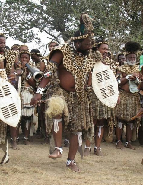 Zulu warriors- amabutho Zulu Culture Art, Zulu Traditional Attire Umemulo, Zulu Dance, Isicholo Zulu Hat, Zulu Culture, Zulu Maidens, Zulu Worrier, Afro Inspiration, Zulu Traditional Attire