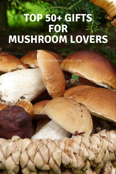 50 Best Mushroom Gifts For Foragers And Mushroom Lovers - West Coast Kitchen Garden Gifts For Mushroom Lovers, West Coast Kitchen, Mushroom Gifts, Coast Kitchen, Mushroom Foraging, Mushroom Kits, Mushroom Grow Kit, Mushroom Poster, Lions Mane Mushroom