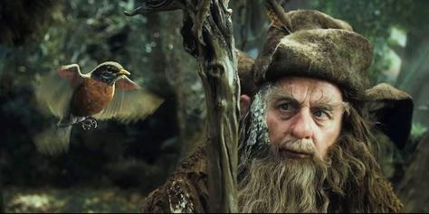 Why That American Robin Cameo in 'The Hobbit' Wasn't an Error  Filmmakers often place birds in the wrong setting, but when it comes to fantasy movies, where should we draw the line—if at all?   http://www.audubon.org/news/why-american-robin-cameo-hobbit-wasnt-error Radagast The Brown, The Brown Bunny, Servant Of Evil, The Hobbit An Unexpected Journey, Sylvester Mccoy, Hobbit An Unexpected Journey, American Robin, World Birds, An Unexpected Journey