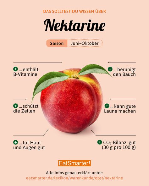 Wir erklären dir, was hinter den einzelnen Punkten steckt und was das freche Früchtchen so gesund macht! | EAT SMARTER #gesundernähren #nektarine #wissen #ernährung Food Info, Eat Smart, Food Facts, Eat Smarter, Easy Workouts, Workout Food, Health Food, Healthy Life, Clean Eating