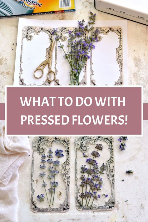 What to do with Pressed Flowers! Dried Flower Ideas Diy, Pressed Flower Crafts Diy, Plant Pressing, Crafts Dried Flowers, Diy Pressed Flower Art, Herbal Crafts, Flowers Bookmarks, Handmade Paper Gifts, Pressed Flowers Diy