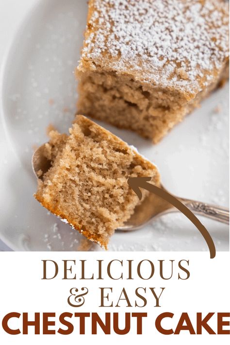 Chestnut cake, or Ardéchois, is a light and moist cake. Made with chestnut spread, this is an amazing airy treat for your coffee or tea this Fall or Winter! Chestnut Cake Recipe, Chestnut Spread, Chestnut Cake, Chestnut Recipes, Cake Snack, Chocolate Zucchini Cake, Yummy Fall Recipes, Moist Cake, Italian Christmas