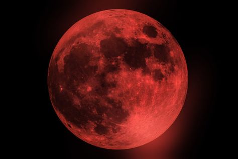 The 2019 Super Blood Wolf Moon; A Trifecta of Lunar Phenomena | Honor Yourself, Total Lunar Eclipse, Earth's Atmosphere, Earth Atmosphere, Wolf Moon, Lunar Eclipse, Super Moon, Blood Moon, To The Moon