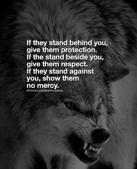 6,048 mentions J’aime, 43 commentaires - AgentSteven (@agentsteven) sur Instagram : "@theclassygentleman agreed 👌🏼" Lone Wolf Quotes, Wolf Quotes, Beautiful Wolves, Thought Quotes, Warrior Quotes, Deep Thought, A Wolf, Badass Quotes, Animal Quotes