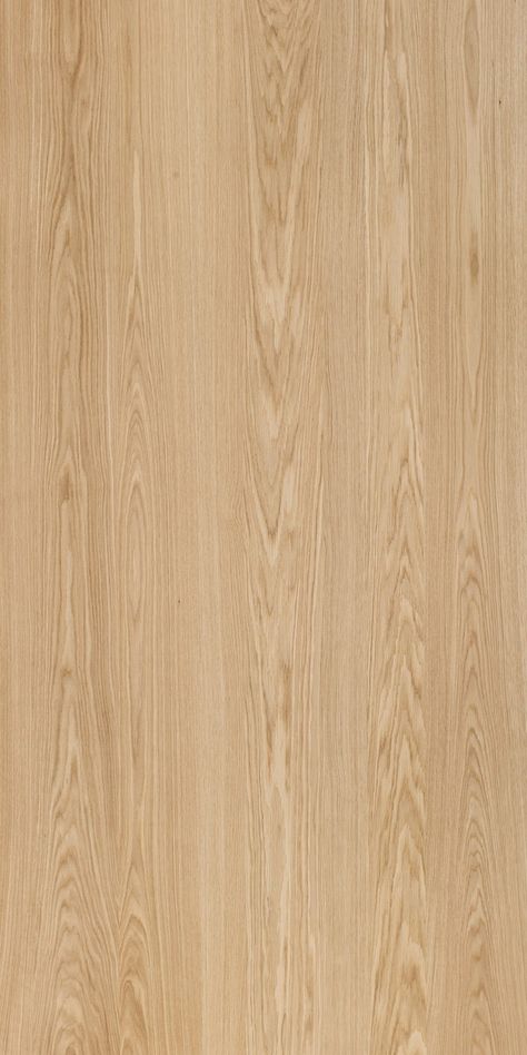 Species | Prime Panels Pine Wood Texture, Plywood Texture, Laminate Texture, Oak Wood Texture, Light Wood Texture, Wood Texture Seamless, Veneer Texture, Wood Floor Texture, Floor Texture