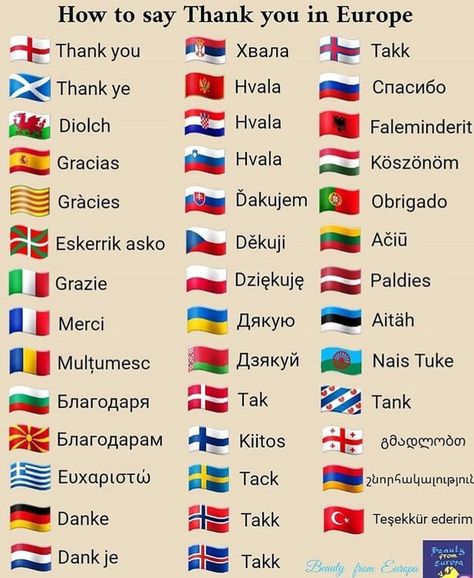 How to say thank you in European Languages! ▪▪▪ Y'all might wanna save this and use it for future travel trips. Always stay positive eh Europe Language, European Languages, Daily Facts, How To Say, Future Travel, Dating Memes, National Flag, Fact Quotes, Fun Facts