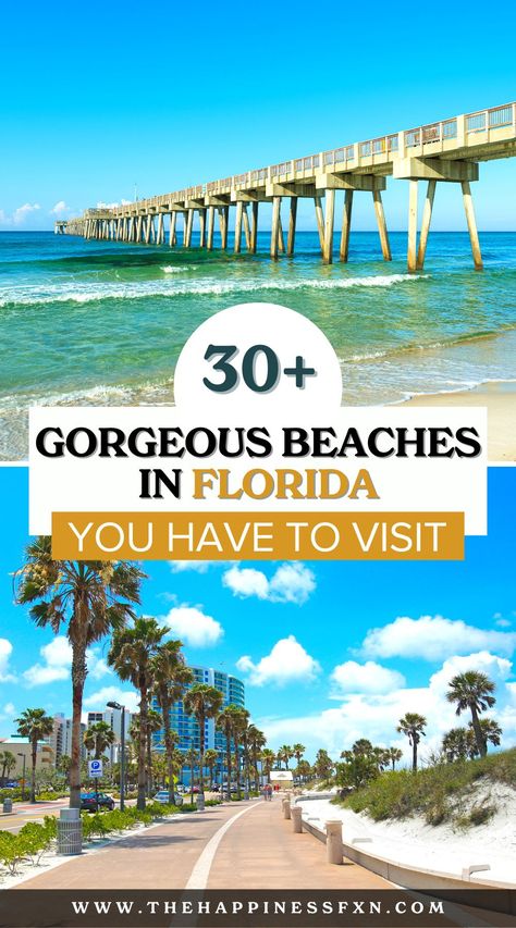 30+ Gorgeous Beaches in Florida You Have to Visit Best Florida Beaches, Best Beaches In Florida, Florida Trips, Things To Do In Florida, Beaches In Florida, Best Beach In Florida, Florida Beaches Vacation, Beach In Florida, Florida Travel Guide