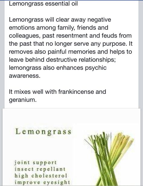 Lemongrass oil properties Lemongrass Magical Uses, Lemongrass Uses Witchcraft, Lemongrass Meaning Witchcraft, Lemongrass Witchcraft, Lemongrass Essential Oil Uses, Spiritual Learning, Magick Herbs, Bind Runes, Witch Ideas