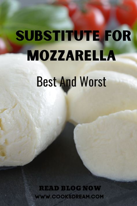 Substitute For Cheese, Make Mozzarella Cheese, Munster Cheese, Mozzerella Cheese, Worst Cooks, Havarti Cheese, Vegan Substitutes, Fontina Cheese, Kinds Of Cheese