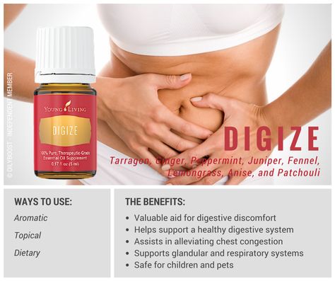 Digize Essential Oil Young Living, Young Living Digize, Digize Essential Oil, Thieves Essential Oil, Young Living Essential Oils Recipes, Yl Oils, Yl Essential Oils, Healthy Digestive System, Essential Oil Benefits