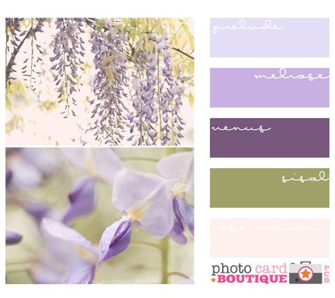 :O! algo así te decía como los primeros dos colores :D Wisteria Palette, Lavender Paint Colors, Green Color Palettes, Palette Spring, Purple Girls Room, Nursery Paint Colors, Girls Room Paint, Purple Paint Colors