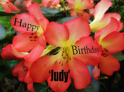 Happy Birthday Judy, Birthday Aunt, Happy Birthday Aunt, Meme Happy, Birthday Tomorrow, Birthday In Heaven, Happy Birthday Meme, Birthday Meme, Birthday Happy