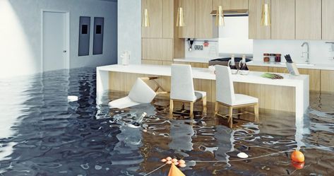 Prepare Your Home For Flooding - Kitchen Warehouse Blog Water Damage Repair, Making Water, Classical Interior, Emergency Water, Flood Damage, Fire Damage, Durham Nc, Oak Park, Waterproof Flooring