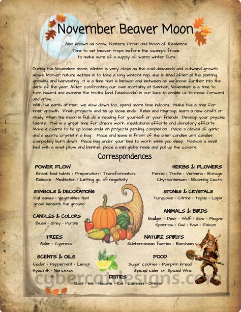 Book of Shadows | Book of Shadows by Cybercat Designs | Page 10 Beaver Full Moon, Moon Book Of Shadows, Full Moon Taurus, January Full Moon, Wicca Holidays, November Full Moon, Beaver Moon, Lunar Witch, Moon Meaning