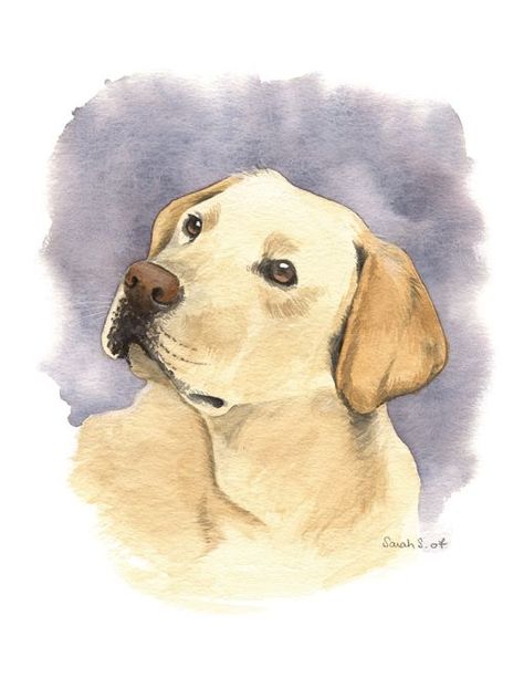 dogpaintings #dogshow #doggy Dog Art Labrador, Dog Illustration Labrador, Labrador Watercolor Painting, Cute Labrador Drawing, Labrador Painting Easy, Labrador Puppy Drawing, Dog Drawing Labrador, Labrador Dog Drawing, Labrador Drawing Simple