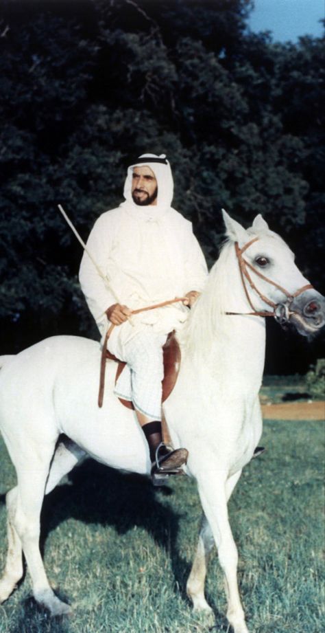 Shaikh Mohammed Bin Zayed, Sheik Zayed, History Uae, Hospital Room Snapchat Stories, Saudi Arabia Culture, Tennis Art, Deer Photos, Arab Culture, Dream Painting