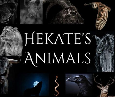 Hekate’s Animals: Ancient Creatures, Modern Menagerie, and Ways to Include Them in Witchery | Hekate's Animals Goddess Hekate, Goddess Magick, Goddess Hecate, Ancient Creatures, Hecate Goddess, Pagan Goddess, Eclectic Witch, Wiccan Spell Book, Greek Gods And Goddesses