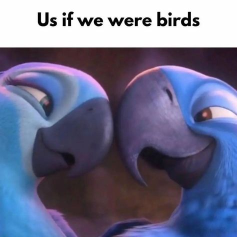 Us in every universe ❤️ Whether we're dragons, cars, robots, or birds, we'll always be together 🐉🚗🤖🦜 . . . . . #couplegoals #loveineveryform #togetherforever #relationshipgoals #cutecouples #usindifferentworlds #couplememes #dracarys #carstogether #birdsoflove Couple Memes, Together Forever, Couple Goals, Relationship Goals, Always Be, You Think, Universe, Birds, Cars