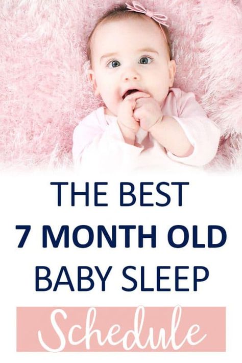 7 Month Old Schedule, 7 Month Old Sleep, 7 Month Baby, Baby Sleep Consultant, 7 Month Old Baby, Baby Samples, Baby Schedule, Baby Sleep Schedule, Baby Nap