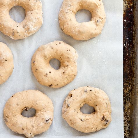 Chocolate Chip Bagel Recipe, Chocolate Chip Bagels, Types Of Bagels, Bagels Recipe, Bagel Bites, Bread Shop, Homemade Bagels, Bagel Recipe, Bread Baker