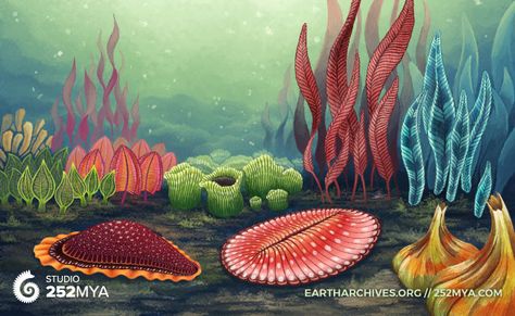 Life in the Precambrian may have been much livelier than previously thought Precambrian Era, Biblical Garden, Origin Of Earth, Cnidaria, Ancient Animals, Paleo Art, Life On Earth, Extinct Animals, The Secret Garden