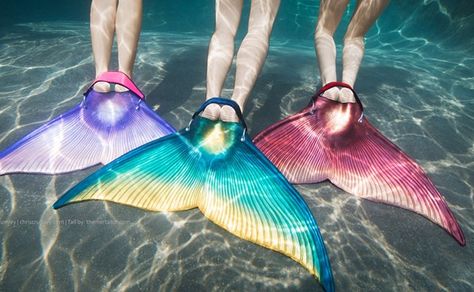 Mermaid Monofin Real Mermaid Tails, Real Mermaid, Fin Fun Mermaid Tails, Swimmable Mermaid Tail, Mermaid Swim Tail, Fin Fun Mermaid, Mermaid Fin, Fin Fun, Real Mermaids