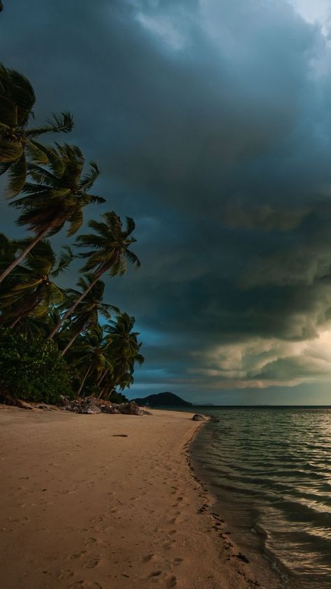 Icon Base, Mood Aesthetic, Sea Photography, Sand Sea, Dark Clouds, Palm Trees, Trees, Sun