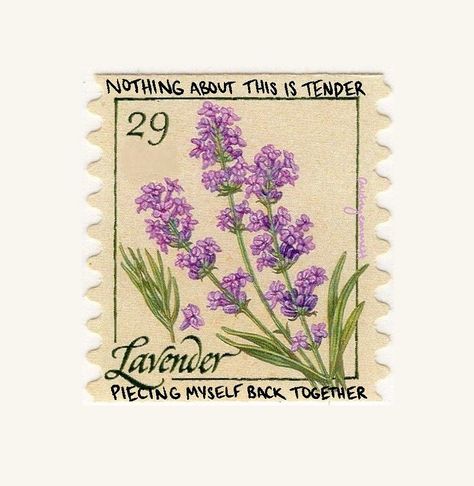 audrey emmett | poetry & art on Instagram: “yes i got ur letter” Flowering Herbs, Lavender Stamp, Herb Plants, Herbal Soap, Small Picture Frames, Lavender Herb, Wedding Postage, Forever Stamps, Vintage Postage Stamps