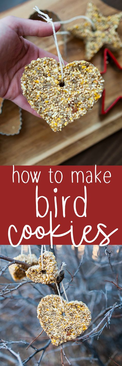 Looking for a sweet Forest School inspired activity for late winter? Try making these cute Bird Cookies! They feed the hungry birds and they're easy and fun to make too! #birdcookies #birdseedornaments #forestschoolactivity #winteractivity Bird Seed Crafts, Bird Feeders For Kids To Make, Seed Craft, Feed The Birds, Bird Feeder Craft, Bird Seed Ornaments, Bird Seed Feeders, Bird Cookies, Homemade Bird Feeders