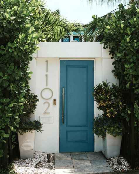 Painted front door ideas