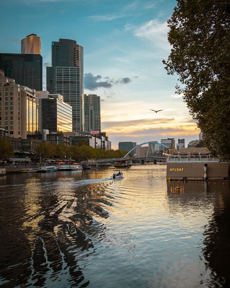 Yarra River, Melbourne Travel, Melbourne Central, Northern Territory, South Australia, Tasmania, College Dorm, New South Wales, Western Australia