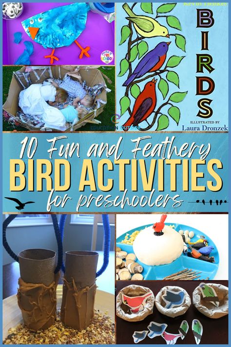 Watching birds in your backyard or nearby park is also a great way to spend quality time together while learning about these amazing creatures. And what could be more fun than making a sensory bin filled with bird nests and eggs? Your child will love exploring all the different textures and colors. Birds Preschool, Bird Activities, Homeschool Units, Fake Birds, Pre K Worksheets, Bird Beaks, Bird Nests, Activities For Preschool, Bird Book