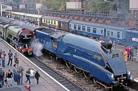 Mallard Train, Steam Trains Photography, Steam Trains Uk, Train Pics, Old Steam Train, Heritage Railway, Flying Scotsman, Steam Engine Trains, Steam Railway