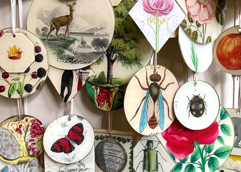 Indian Palm Squirrel, John Derian Decoupage, Pink Beetle, Shield Bugs, Fairy Mushroom, Angora Cats, Ceramic Furniture, John Derian, Fish Bowl