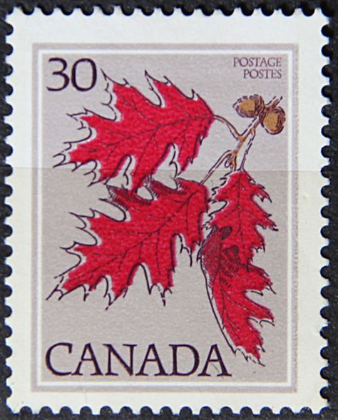 Canada, Scott 720  A358, 20c, Perf 131/2, Issued 1978,  Photogravure & Engraved. Canada Bucket List, Stamp Tattoo, Canada Pictures, Postage Stamp Design, Postage Stamp Art, Stamp Printing, Vintage Postage, Post Stamp, Postal Stamps