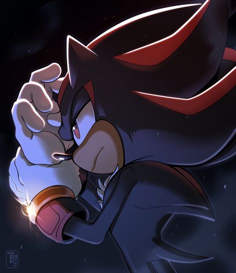 Scenecore Art, Shadow And Maria, Shadow And Amy, Sonic Heroes, Undertale Comic Funny, Sonic Fan Characters, Sonic Franchise, Hedgehog Art, Shadow Art