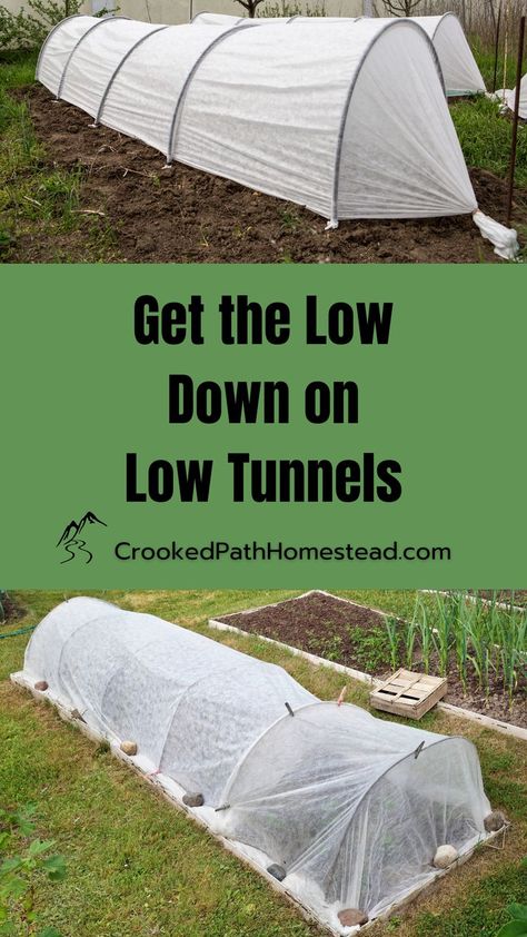 Get the low down on low tunnels by Crooked Path Homestead. Text banner accompanied by 2 photos of plastic covered mini hoop houses Diy Flower Tunnel, Low Tunnel Hoop House, Low Tunnel Gardening, High Tunnel Gardening, Garden Tunnel, High Tunnel, Tunnel Greenhouse, Greenhouse Ideas, Kinds Of Vegetables