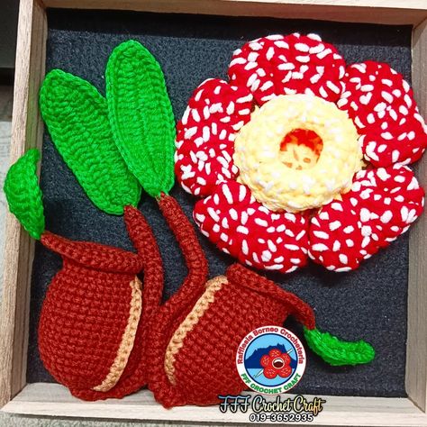 Pitcher Plant, Crochet Crafts, Dinosaur Stuffed Animal, Crochet, Plants