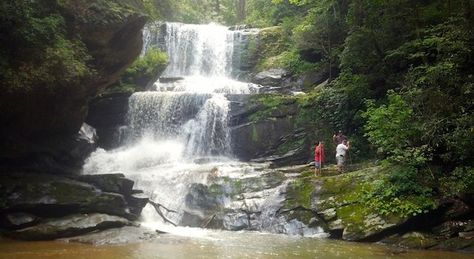 Lake Lure North Carolina, Hike Trail, Waterfall Hike, Summer Temperature, Lake Lure, Nc Mountains, North Carolina Mountains, Property Real Estate, Fall Hiking