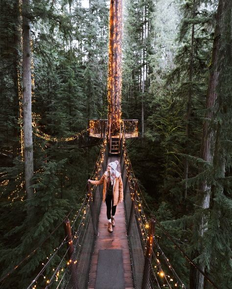 Unravel Me, Capilano Suspension Bridge, Fall Road Trip, Canada Trip, Playing For Keeps, Travel Photography Tips, Suspension Bridge, Outdoor Lover, Us National Parks