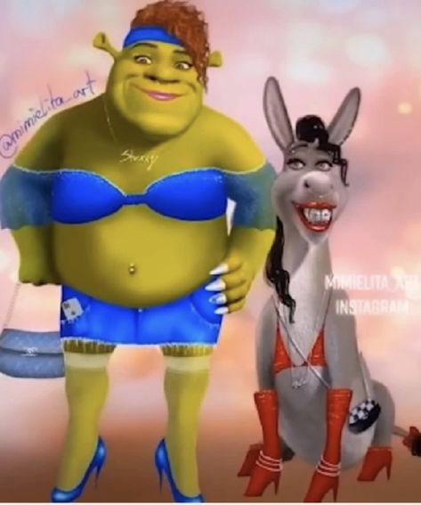 Shrek And Donkey, Shrek Character, Shrek Funny, Shrek Donkey, Shrek Memes, Funny Pix, Crazy Funny Pictures, Snapchat Funny, 웃긴 사진