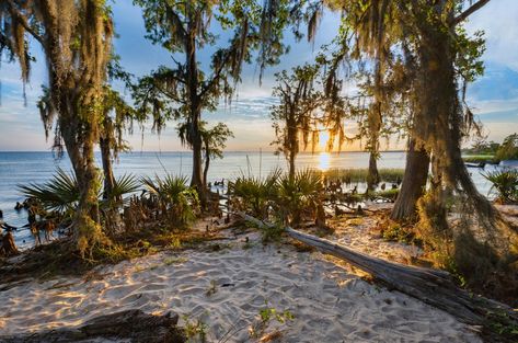 Louisiana Beaches, Bahia Honda State Park, Lake Pontchartrain, Grand Isle, Lanikai Beach, Ocracoke Island, Sam Houston, Beautiful Hikes, Ocean Sounds