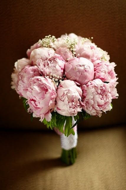 Hj Wedding Bouquets Pink Peonies, Wedding Bouquets Peonies, Pink Peony Bouquet Wedding, Peony Bushes, Bouquets Peonies, Pale Pink Peonies, Pink Peonies Bouquet, Peony Bouquet Wedding, Wedding Couture