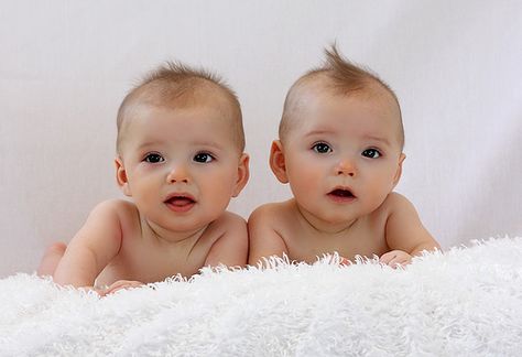 6 Month Twin Photo Ideas | Here are some 6 month old twins I did. Cute Twin Babies, Twin Photo Ideas, Twin Baby Photography, Twin Pictures, 6 Month Photos, Twin Photography, Month Photos, Twin Photos, Cute Twins