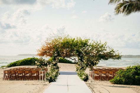 Vibrance at Susurros | Amy Abbott Events | Punta Mita, Mexico Wedding Flowers Bride, Punta Mita Mexico, Ranunculus Wedding, White Wedding Ceremony, Flowers Bride, Mexico Destination Wedding, Team Party, Cabo Wedding, Love And