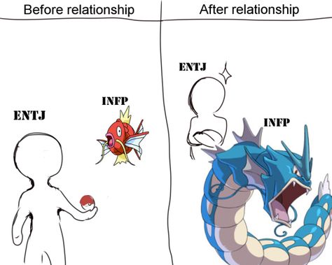 Entj X Infp, Entj Infp, Entj Relationships, Infp Personality Traits, Infp Relationships, Infp T Personality, Infp Personality Type, Mbti Test, Mbti Types