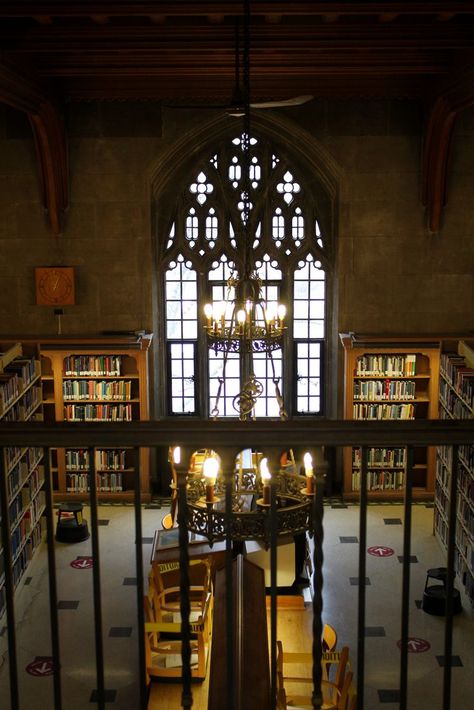 Dark, cozy library with large gothic window Emmanuel College Boston, Uni Motivation, Knox College, Emmanuel College, England Autumn, Romanticizing School, Library Science, College Library, Opposites Attract