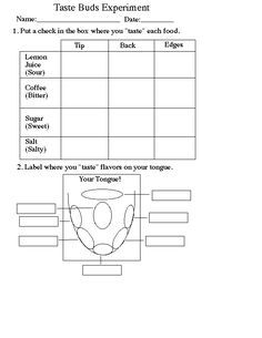 Taste Activities, Tongue Taste Buds, Girl Scout Activities, Activity Room, Scout Activities, Science Lesson Plans, 5th Grade Science, 5 Senses, Science Lessons